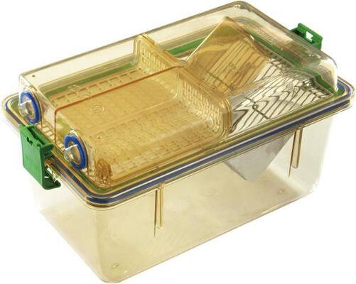 Stainless Steel Modular Automatic Individually Ventilated Cage IVC For Lab Animal Equipment