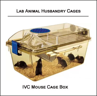 Laboratory IVC Animal Cages Rat Breeding Multi Layer Stackable Mouse Cage Box