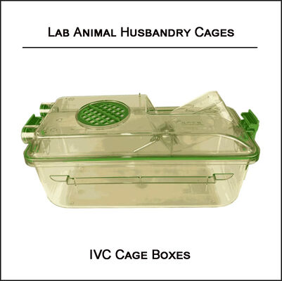 The material of the IVC independent ventilation cage can withstand high-pressure sterilization at 121 degrees Celsius.