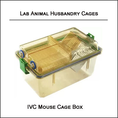 IVC Mouse Rat Breeding Laboratory Animal Husbandry Pollution Free
