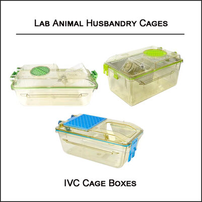IVC Mouse Rat Breeding Laboratory Animal Husbandry Pollution Free