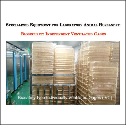 Laboratory Animal Cage Washer Equipment Continuous Tunnel Type 316L Stainless Steel