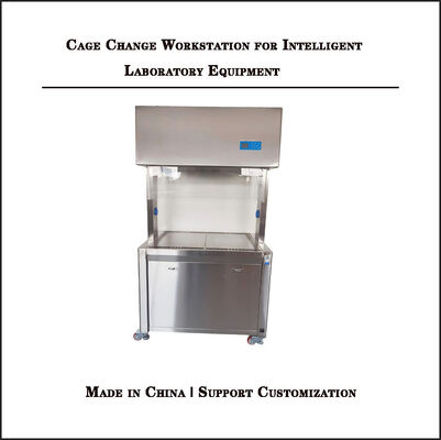 Negative Pressure Dissection Table In Animal Laboratory With Drainage System