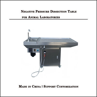 Stainless Steel Experimental Animal Equipment Cage Changing Workstation