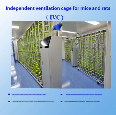 IVC Individual Ventilated Cages, Individual Ventilation Cage System for Mice and Rats, PSU Material Laboratory Animal Rearing Cages, Stainless Steel Cage Racks